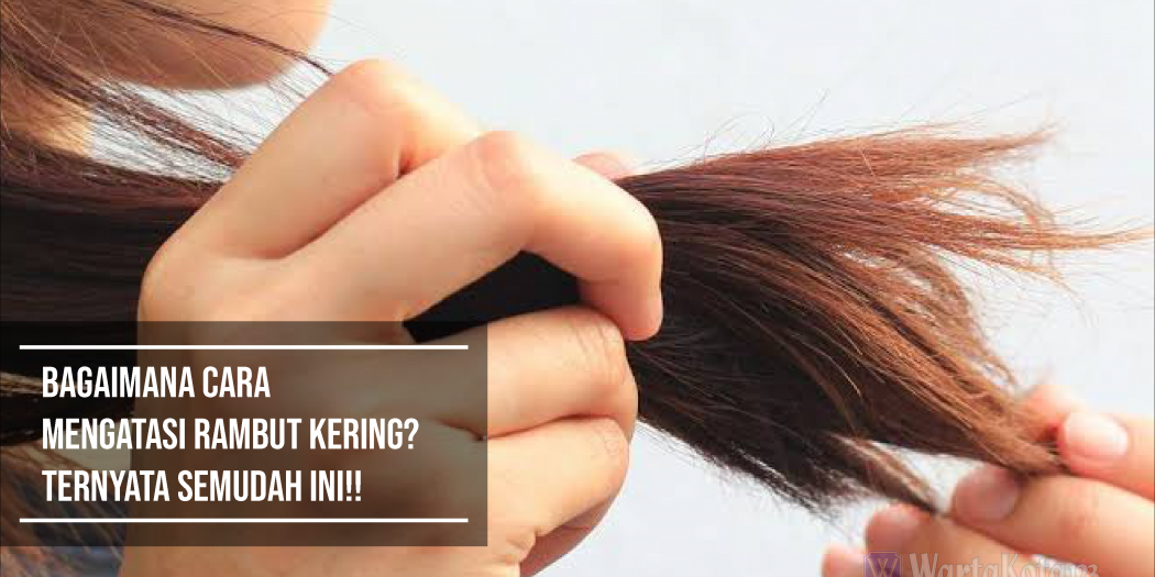 mengatasi rambut kering