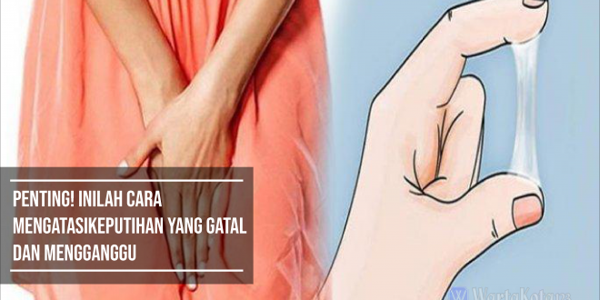 Penting Inilah Cara Mengatasi Keputihan Yang Gatal Dan Mengganggu