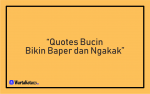 Quotes Bucin